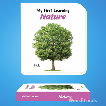 Misfit BrightMinds™ Storybox