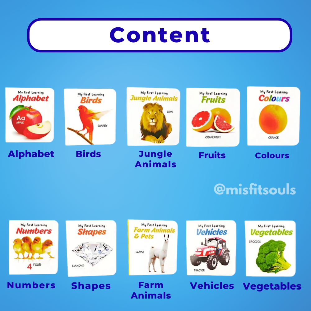 Misfit BrightMinds™ Storybox