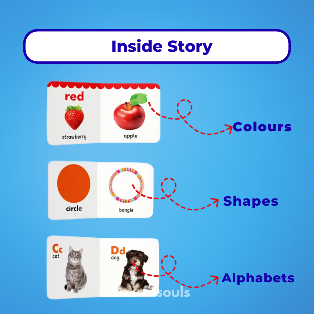 Misfit BrightMinds™ Storybox