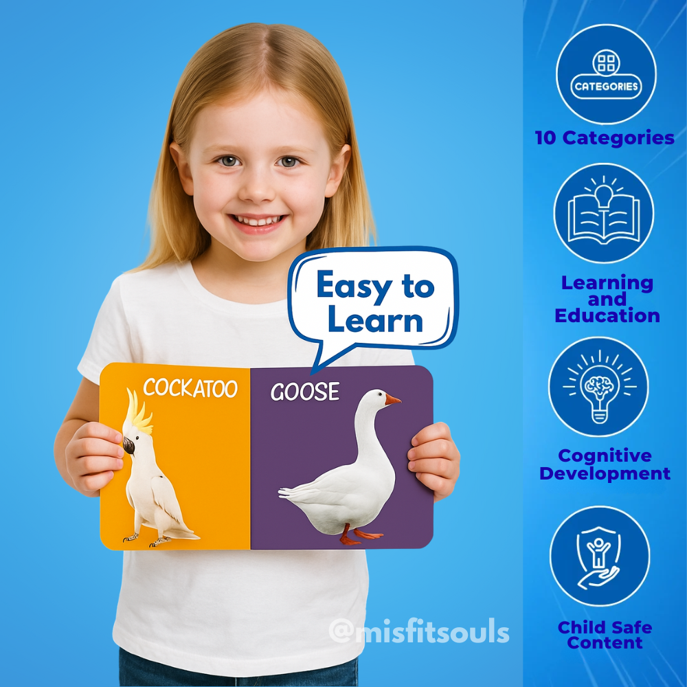 Misfit BrightMinds™ Storybox